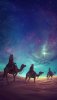 Desert Night Camel Stars iPhone Wallpaper - iPhone Wallpapers.jpeg