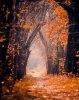 Autumn-Forest-Scene-Photography-Background-Computer-Printed-Digital-Cloth-Vinyl-Backdrops-Back...jpg