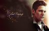 Zach-Wallpaper-zach-roerig-32808728-1280-800.jpg