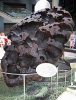 220px-Willamette_Meteorite_AMNH-1.jpg