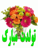 تولد (1).gif