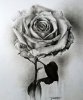 flowerpencil_drowing-5.jpg