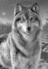 wild-wolf-painting-black-and-white-1.jpg