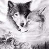 wild-wolf-painting-black-and-white-19.jpg