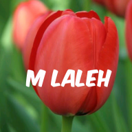 M laleh